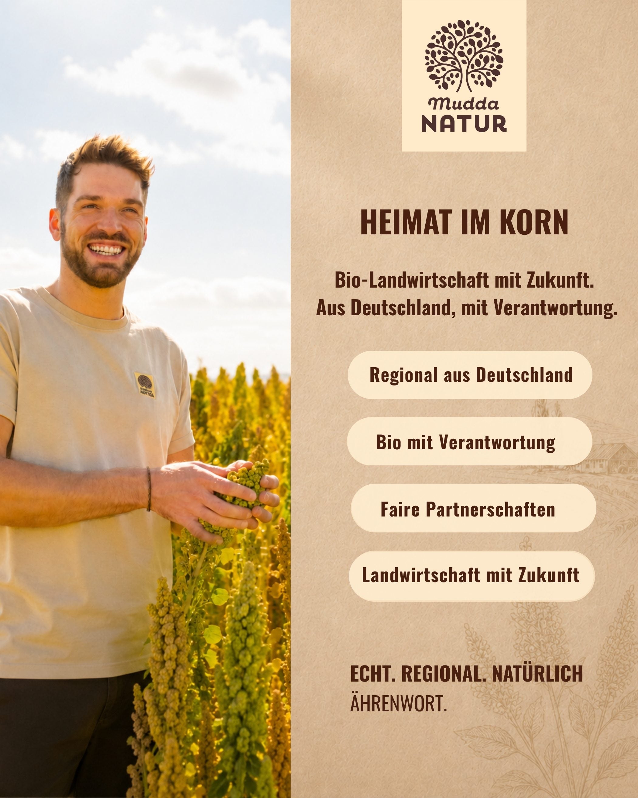 Bio Quinoa Bites mit Haselnuss