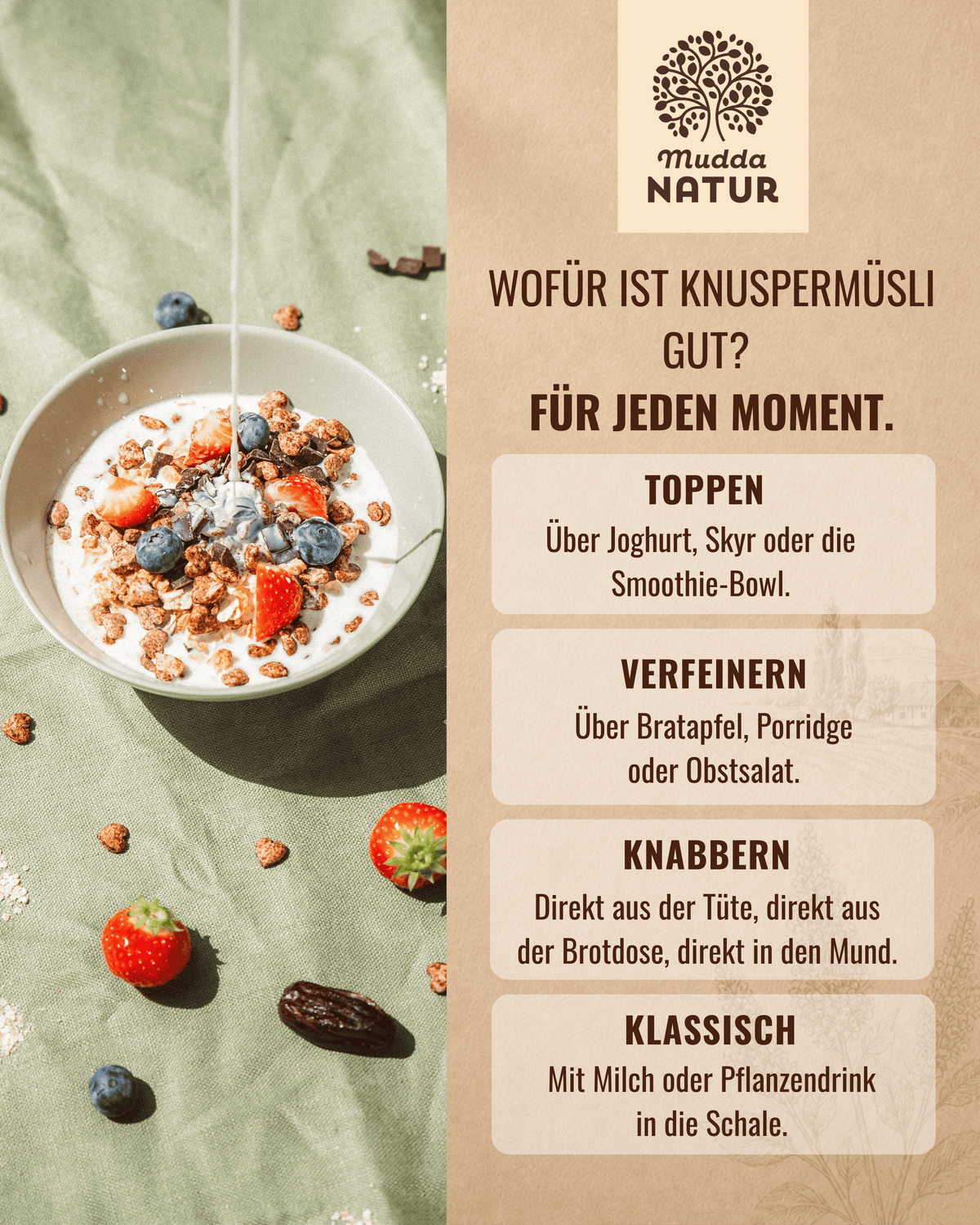 Bio Quinoa Knuspermüsli Beere & Zimt