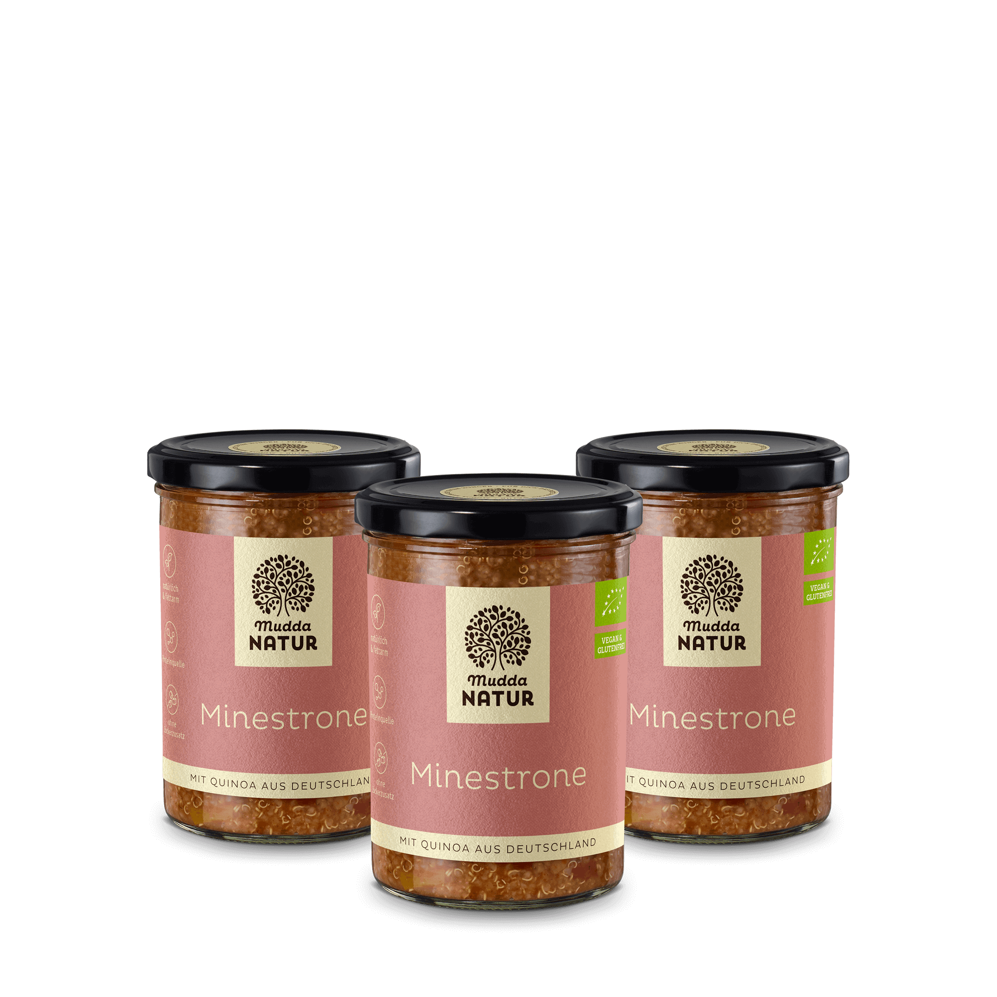 Bio Minestrone mit Quinoa