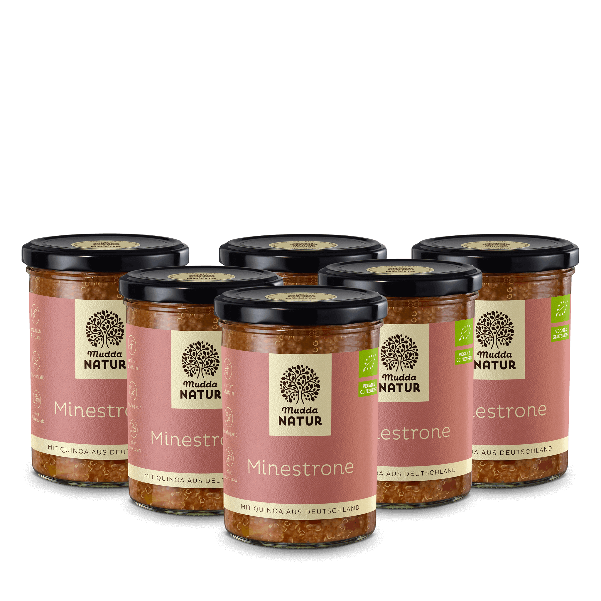 Bio Minestrone mit Quinoa