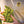 Laden Sie das Bild in den Galerie-Viewer, Bio Quinoa Herzflakes -Natur-