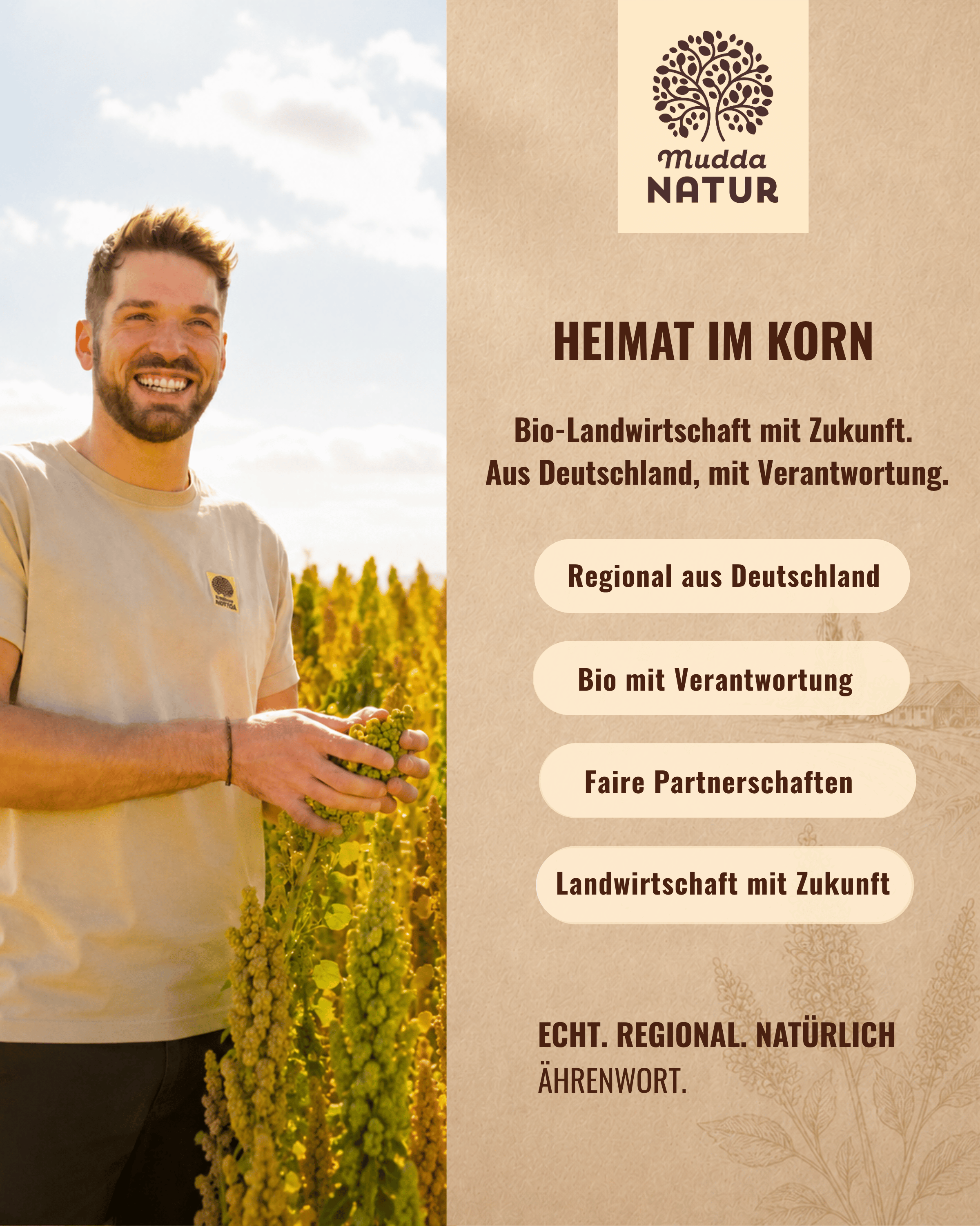 Bio Vollkorn-Quinoa