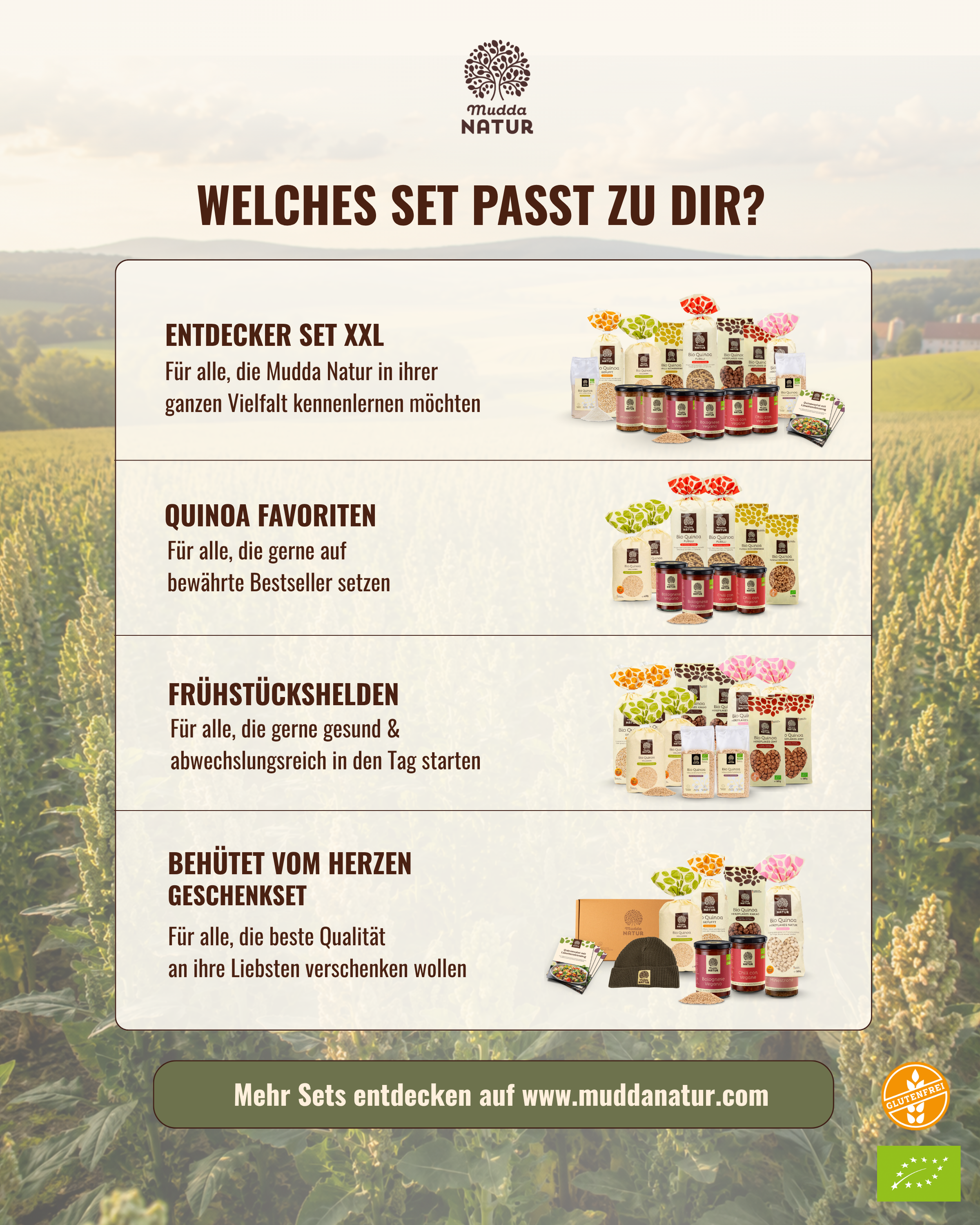"Pausen-Power" Bio Quinoa-Set